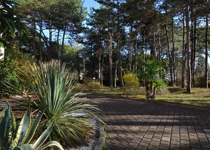 Alemagna * 비비오네